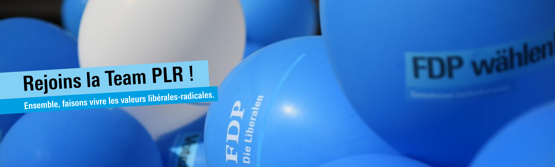 FDP - PLR Slider